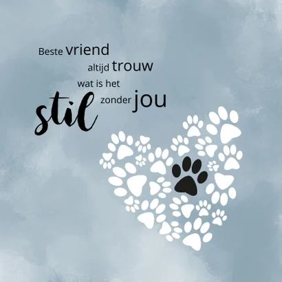 Condoleance Beste vriend altijd trouw - Condoleancekaarten Missing Quotes, Dog Words, Red Nose Pitbull, Pet Sympathy Cards, Animal Templates, Soft Coated Wheaten Terrier, Broken Wings, West Highland White, West Highland White Terrier