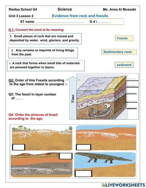 Types Of Rocks, States Of Matter Worksheet, Vertebrates And Invertebrates, Matter Worksheets, Self Esteem Worksheets, Atomic Structure, Rocks And Fossils, Force And Motion, States Of Matter