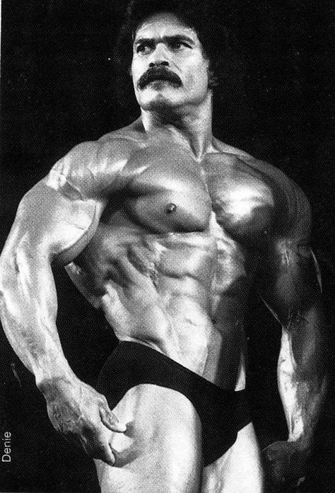 Ed Corney Ed Corney, Mind Strong, Joe Weider, Strong Mind, Strong Body, Gym Training, Calisthenics, Train Hard, Physical Fitness