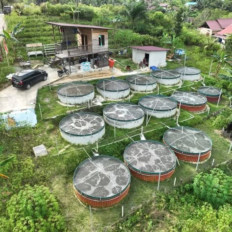 Fish Farming Ponds, Sustainable Architecture House, Fish Ponds Backyard, Kitchen Barndominium, Aqua Farm, Barndominium Ideas Kitchen, 2 Story Barndominium Ideas, 2 Story Barndominium, Fish Pond Gardens