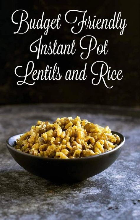 Budget Friendly Spiced Instant Pot Lentils and Rice: vegan, easy, and quick too! The only thing you need is some spices from your pantry! #TeeterTreats, #TeeterRecipes #sponsored Lentils And Rice Recipe, Instant Pot Lentils, Rice And Lentils, Vegan Instant Pot, Vegan Instant Pot Recipes, Diy Easy Recipes, Lentils And Rice, Plant Based Diet Recipes, Healthy Instant Pot Recipes