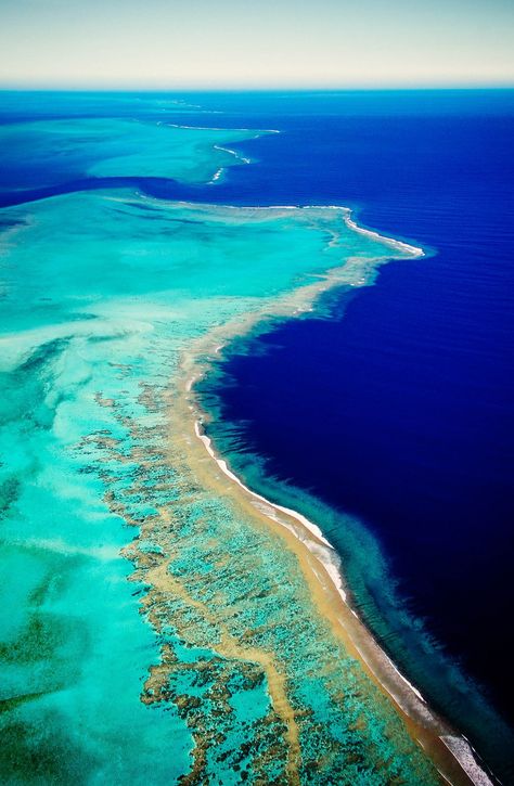 The Blue Lagoon, The Great Barrier Reef, Beautiful Water, Pretty Landscapes, Coral Reefs, New Caledonia, Great Barrier Reef, Blue Lagoon, Coral Reef