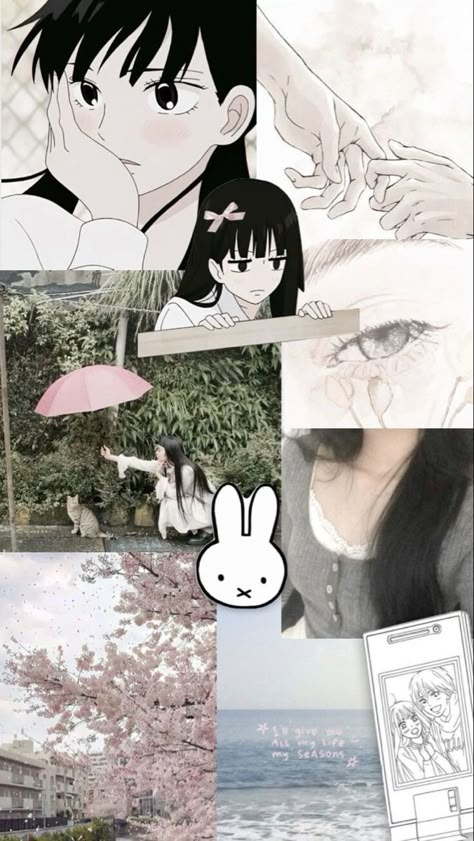 Romance Anime Wallpaper, I Want To Escape, Anime Collage, Cute Iphone Wallpaper Tumblr, Modern School, Shojo Anime, Cat Personalities, Cocoppa Wallpaper, The Apothecary Diaries