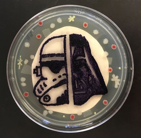 Winners of the 2016 agar art competition – in pictures Agar Art, Bacteria Art, Microbiology Art, Dish Art, Medical Laboratory Science, School Info, Science Nerd, Petri Dish, Laboratory Science