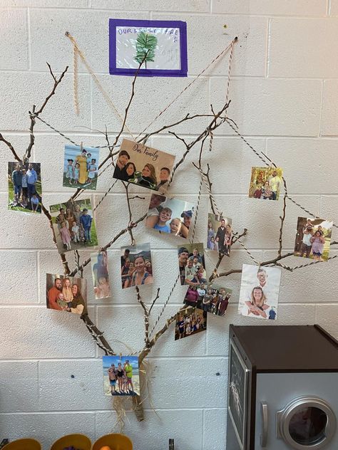 Outdoor Classroom Ideas | Hi all! I just wanted to introduce myself and share a photo I took of our ‘Family Tree’ Family Tree Ideas For Classroom, Classroom Family Tree, Family Tree Photo, Reggio Classroom, Board Decoration, Outdoor Classroom, Reggio Emilia, Toddler Room, Family Tree