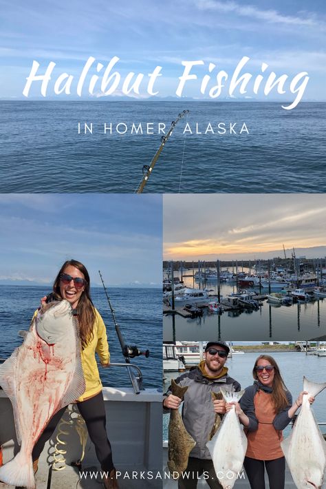 Halibut Fishing Alaska, Southeast Alaska, Halibut Fishing, Homer Alaska, Small Fishing Boats, Alaska Fishing, Alaska Trip, Kenai Peninsula, Alaska Vacation