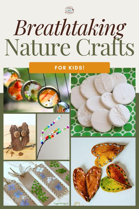 Nature Crafts For Kids, Pictures Of Nature, Breathtaking Nature, Nature Projects, Crafts For Teens To Make, Nature School, Mandalas Painting, Mandalas Drawing, Mandalas Design