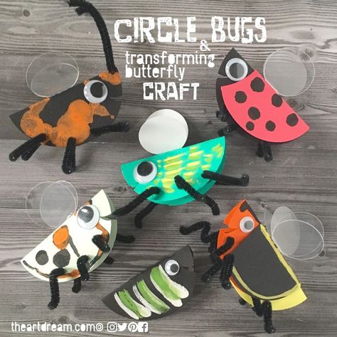 Build A Bug, Bug Craft, Origami Paper Flowers, Learning Express, Insects Preschool, Bugs Preschool, Butterfly Craft, Insect Crafts, Bug Crafts