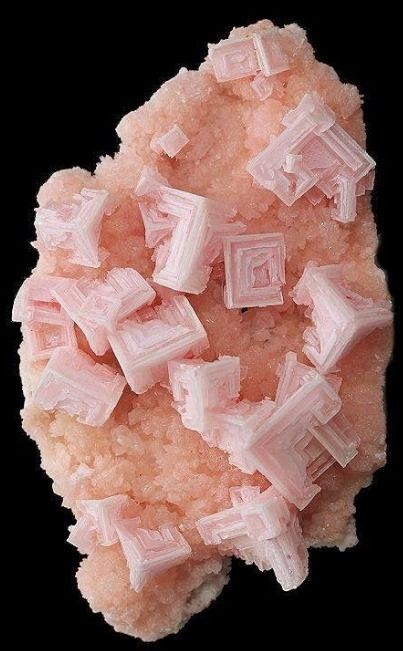 Pink Halite 💖✨ Admiring the delicate beauty of nature's salty crystals. #PinkHalite #SaltCrystals #NaturalWonders 🌊💎 Pink Halite, Delicate Beauty, Natural Wonders, Rocks And Crystals, Natural Beauty, Amethyst, Make Up, Crystals, Pink