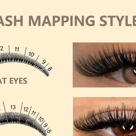 Winged Lashes, Eyelash Extension Supplies, Wispy Lashes, Black Wings, Volume Lashes, Lash Artist, Lash Extensions, Eyelash Extensions, Eyelashes