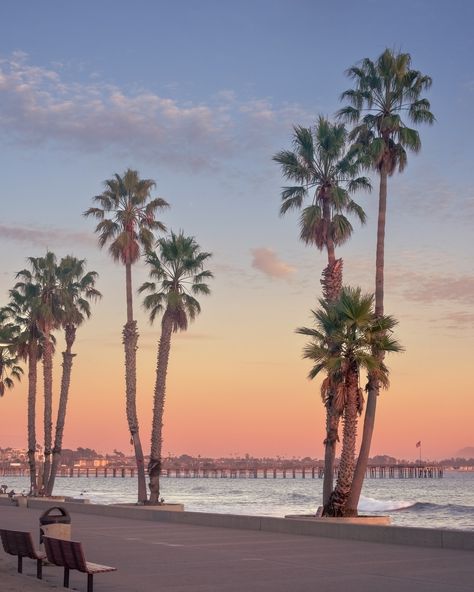 A picturesque sunset view of a coastal walkway lined with tall palm trees, with a pier extending into the ocean in the background. The sky is painted in soft pastel hues of pink and orange, reflecting on the calm water. Benches are placed along the walkway, providing a serene spot to enjoy the scenery Ventura Highway, Ventura County California, Oxnard California, Ventura California, California Photos, Ventura County, Visit California, June 17, Future Life