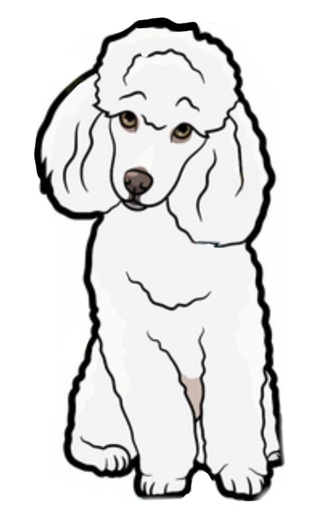 Simple Poodle Drawing, Toy Poodle Drawing Easy, Poodle Coloring Page, How To Draw A Poodle, Poodle Drawing Easy, Dog House Drawing, Poodle Sketch, Poodle Drawing, Dog Drawing Simple