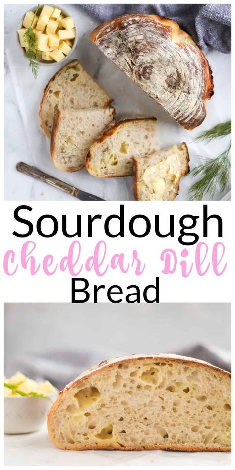 Scoring Sourdough Bread Videos, Bread Flavor Ideas, Sourdough Cheese Bread, Dill Bread Recipe, Cheddar Bread Recipe, Sourdough Desserts, Dill Bread, Cheese Sourdough, Sourdough Ideas