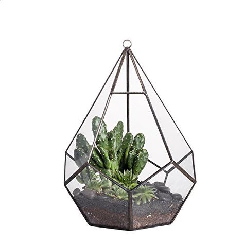 Size: 17.5*17.5*23cm https://www.amazon.co.uk/dp/B01ELD5QUU/ref=cm_sw_r_pi_dp_U_x_fPwfBbCYS1RF2 Hanging Glass Terrarium, Hanging Terrarium, Modern Centerpieces, Plant Terrarium, Modern Wall Hanging, Geometric Terrarium, Succulents Decor, Glass Cube, Small Potted Plants