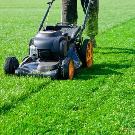 Yard Cleaning, Lawn Mower Maintenance, Best Lawn Mower, Bermuda Grass, Yard Maintenance, Growing Grass, Diy Lawn, Aerate Lawn, Lawn Care Tips