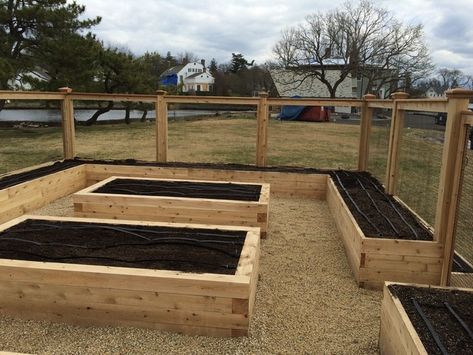 Raised Garden Bed Ideas, Garden Bed Ideas, Ideas For Backyard, Vertical Vegetable Garden, Diy Raised Garden, Plants Growing, Backyard Vegetable Gardens, Pallet Garden, Have Inspiration