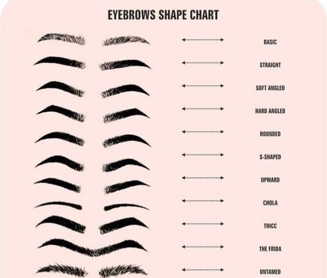 EYEBROW SHAPE CHART Eyebrow Shaping By Skin Tone Range, Masculine Eyebrow Shape, Types Of Eyebrows Shape, S Shaped Eyebrows, Eyebrow Shapes Chart, Brow Shape For Your Face, Different Eyebrows, Round Eyebrows, Eyebrows Shape