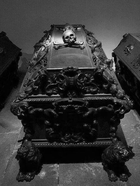 Skull casket Old Cemeteries, Cemetery Art, A Skull, Six Feet Under, Gothic Home Decor, Gothic House, Skull And Bones, Memento Mori, Tombstone