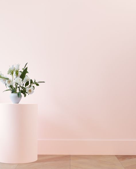 Strawberry Yogurt 2104-70 | Benjamin Moore Benjamin Moore Pink, Paint Color Swatches, Pink Paint Colors, Lake Houses Exterior, Strawberry Yogurt, Kitchen Paint Colors, Benjamin Moore Paint, Paint Brands, Pink Paint