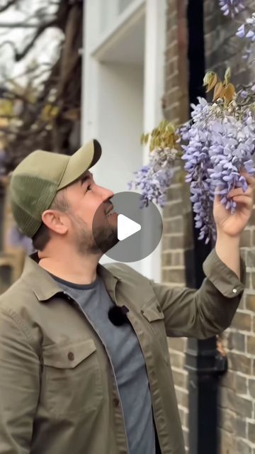 James Wong 🌱 | Plants & Nature on Instagram: "EUROPE’S OLDEST WISTERIA

This is the mother of almost all Wisteria sinensis plants outside of Asia. 

Yes, there are a couple of other species in horticulture, but the vast, vast majority of plants you see across the globe are not just from a single variety, but clones of one genetic individual that was given to the world from the garden of a Chinese tea trader. 

I did quite of lot of research and found a potential contender for ‘Consequa’ using Chinese sources, Pan Changyao 潘長耀. It’s a shame that he never got the credit for the beauty he has given to so many.

#wisteriasinensis #wisteria #consequa" Romantic Gardens, Plants Outside, Wisteria Sinensis, Landscaping Around House, Travel Uk, Plants Nature, Romantic Garden, Chinese Tea, Uk Travel