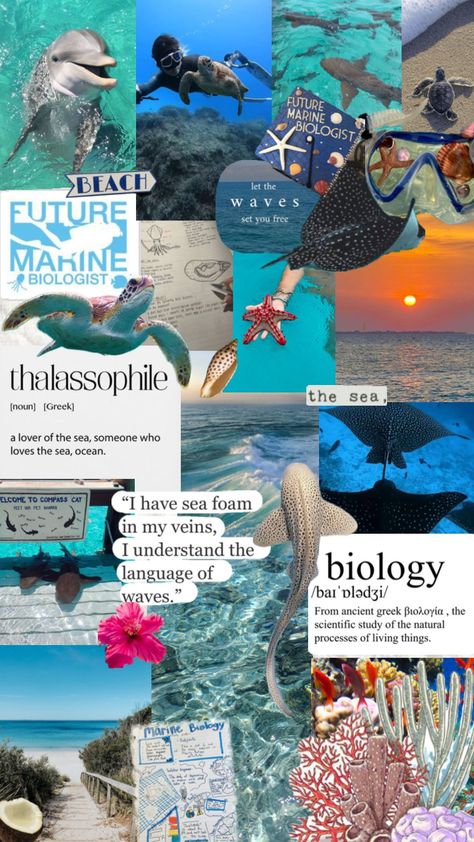 #biology #marinebiology #ocean #aesthetic #beach #oceanlife Summer Athstetic, Oceanography Marine Biology, Summer Prints Wallpaper, Beach Girl Aesthetic, Wildlife Biologist, College Majors, Cute Summer Wallpapers, Ocean Aesthetic, Biology Notes