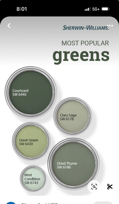 70s Green Paint Color, Rookwood Jade Sherwin Williams, Best Sage Green Paint Colors Sherwin Williams, Jade Sherwin Williams, Popular Sherwin Williams Green Paint Colors, Sherwin Williams Green Paint Colors 2024, Vouge Green Paint Sherwin Williams, Half Bath Makeover, Sherwin Williams Exterior