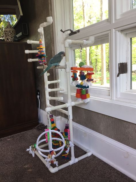 Bird Play Gym, Homemade Bird Toys, Parrot Play Stand, Bird Diy, Diy Bird Toys, Parrot Stand, Hamster Bedding, Parrot Perch, Bird Stand