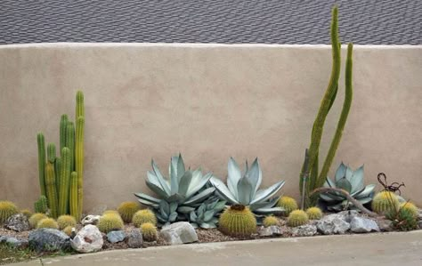 Stucco Wall, Succulent Landscape Design, Succulent Landscaping, Home Yard, Dry Garden, Desert Garden, Country Landscaping, Landscaping Tips, Desert Plants