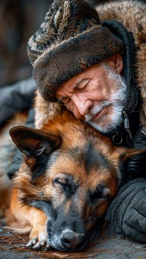 Gatto Carino, Old Faces, Cat Person, Old People, Cute Animal Pictures, Funny Animal Pictures, German Shepherd Dogs, Old Man, Beautiful Dogs