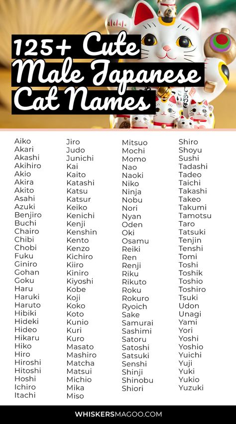 125+ Cute Male Japanese Cat Names (With Meanings) - Are you looking for a cute Japanese cat name for your male cat? Look no further! From Chibi to Mochi, Akito, Yoshi, and many more, check out over 125 cute male Japanese cat names with meanings right here! #catnames Japanese Ideas Name, Cute Japanese Pet Names, Japanese Names For Pets, Japanese Cute Name, Aesthetic Japanese Names With Meaning, Japanese Names For Cats, Male Username Ideas, Oc Names Ideas Japanese, Japanese Male Names And Meanings