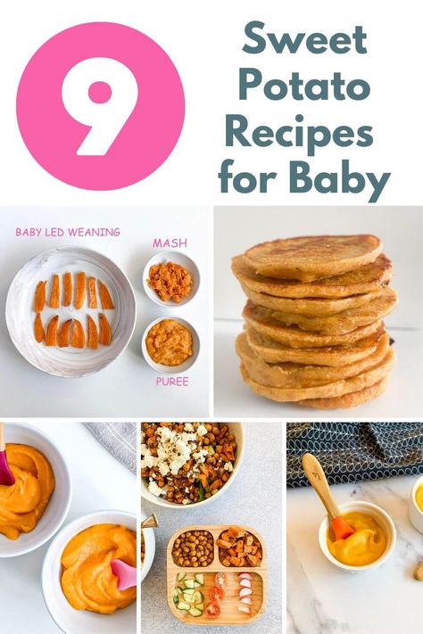 9 Great Baby Recipes with Sweet Potato - Creative Nourish Sweet Potato Recipes For 10 Month Old, Sweet Potato Recipe For Baby, Blw Sweet Potato Recipes, Sweet Potato Recipes Baby, Sweet Potato Toddler Recipes, Sweet Potato Pancakes For Baby, Sweet Potato For Baby, Sweet Potato Baby Food Recipe, Recipes With Sweet Potatoes