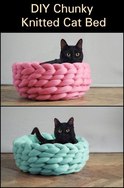 Diy Jouet Pour Chat, Kat Haken, Katt Grejer, Diy Cat Bed, Cat Celebrating, Kat Diy, Chat Diy, Crochet Cat Bed, Diy Knit Blanket