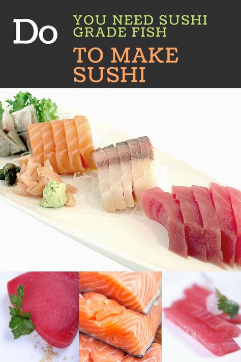 Why do you need sushi grade fish to make sushi at home? Read this article to find out the difference between regular fish and sushi grade Sushi Recipes For Beginners, Easy Homemade Sushi, Make Sushi At Home, Sushi Fish, Dessert Sushi, Sushi Roll Recipes, How To Make Fish, Sushi Making, Make Sushi