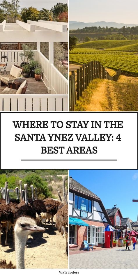 Collage of Santa Ynez Valley highlights featuring scenic vineyard, ostriches, cozy patio, and colorful town center with title "Where to Stay in the Santa Ynez Valley: 4 Best Areas" Santa Ynez Valley, Santa Ynez, Travel Stuff, Plan A, Travel Inspiration, California, Travel