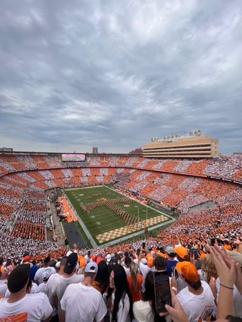 U Of Tennessee, Tn Vols Football, Univ Of Tennessee, Tennessee Game Day, Ut Knoxville, Florida University, Tennessee Vols Football, Neyland Stadium, Vols Football