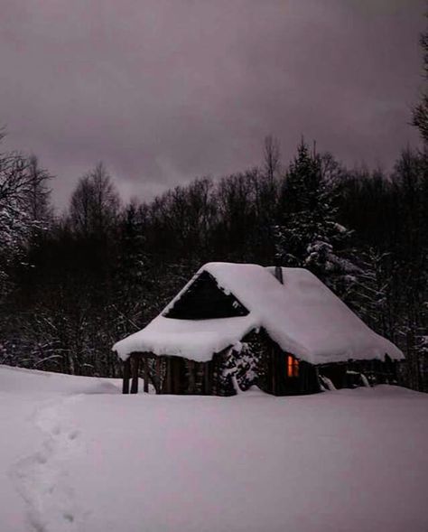 Just Argentina, Snowy Evening, Snow Cabin, Snowy Cabin, Cabin Aesthetic, Cabin In The Mountains, Dark Woods, Snow Forest, Forest Cabin