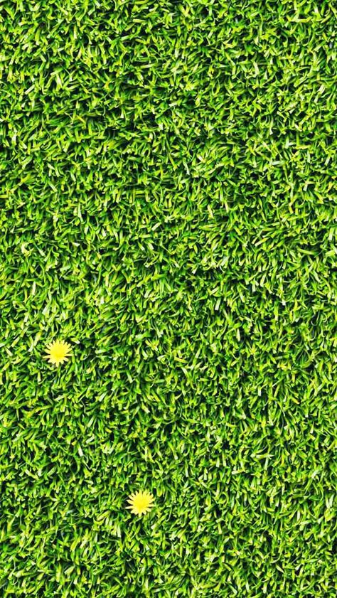 Wallpaper Background Rumput Aesthetic, Grass Texture Seamless, Iphone Wallpaper Water, Verde Aesthetic, Lilac Gray, Texture Material, Lilac Grey, Green Lawn, Quilling Art