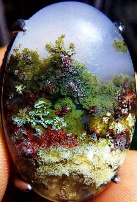 Plume Agate from Trenggolek, Indonesia Black Pinterest, Rocks And Fossils, Plume Agate, Rock Minerals, Pretty Rocks, Cool Rocks, Summer Street, Beautiful Rocks, Spring Jewelry