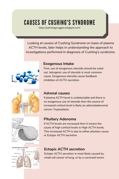 Cushings Disease In Women, Pathophysiology Notes, Biology Flashcards, Cushing Syndrome, Cushing’s Syndrome, Cushings Disease, Ballerina Body, Nurse Notes, Cushings Syndrome