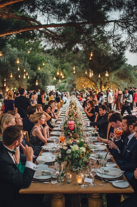 Beautiful long wedding reception table  | Outdoor wedding #outdoorwedding #olivegrovewedding Long Tables, Olive Grove, Wedding Reception Centerpieces, Reception Centerpieces, Have Inspiration, Outdoor Reception, Long Table, Forest Wedding, Pretty Wedding