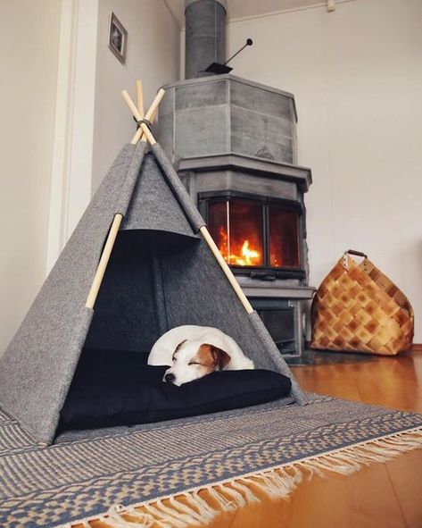 Relax House, Dog Bedroom, Puppy Room, Indoor Dog House, Pet Teepee, Kitten Beds, Tipi Tent, Designer Dog Beds, Diy Dog Bed