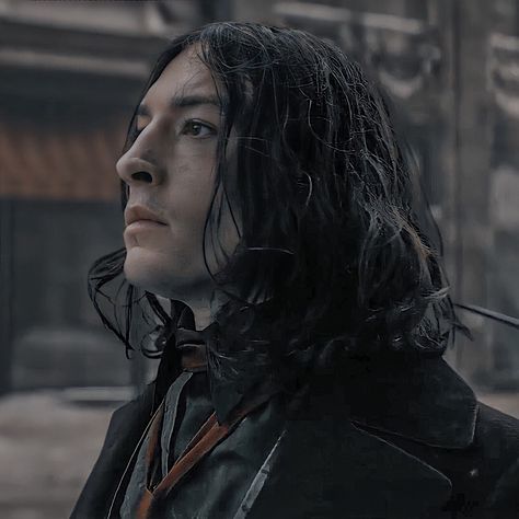 Credence Harry Potter, Aurelius Dumbledore, Claudia Kim, Alison Sudol, Credence Barebone, Katherine Waterston, Toby Regbo, Callum Turner, Revenge Of The Fallen