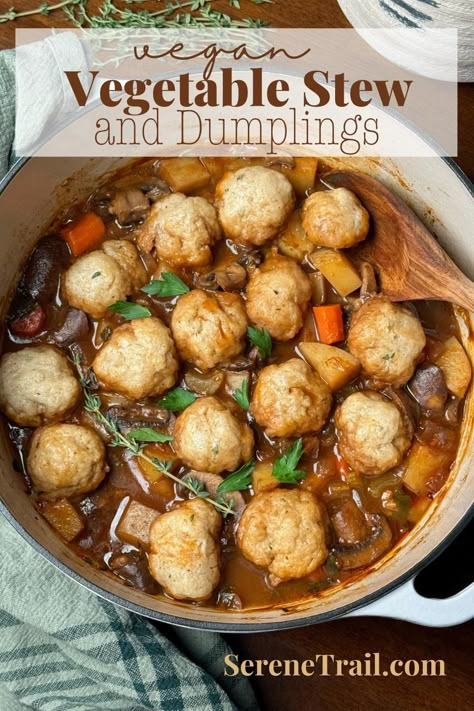 Vegan Stew And Dumplings Cozy Recipes Vegetarian, Cozy Dinner Recipes Vegetarian, Vegetarian Stew And Dumplings, Vegan Stew And Dumplings, Veggie Dumpling Soup, Vegetable Stew With Dumplings, Vegan Dumpling Stew, Plant Based Winter Recipes, Crohns Friendly Recipes Dinner