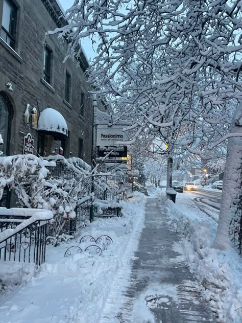 Minnesota Winter Aesthetic, Winter Walks Aesthetic, Winter Walk Aesthetic, Snow Winter Aesthetic, Cold Morning, Winter Morning, I Love Winter, Winter Photos, Winter Mornings