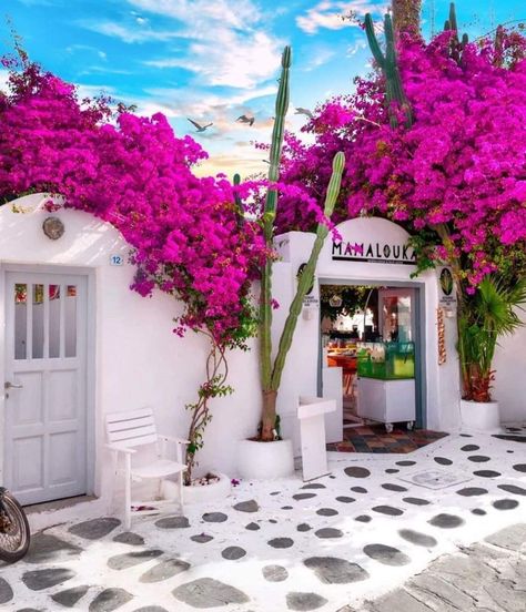 Mediterranean Styles Interior, Cheap Rooms, Greece Photography, Mykonos Island, Greek Restaurants, Spa Design, Fairy Garden Houses, Nice Place, House Plants Decor