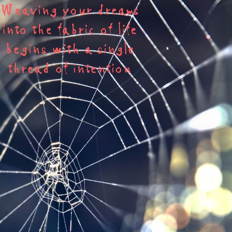 Spider Web Quotes, Mayday Parker, Fate Quotes, Web Quotes, Aesthetic Text, Numbers Symbols, Rock Painting Ideas Easy, Spider Girl, Rock Painting Designs