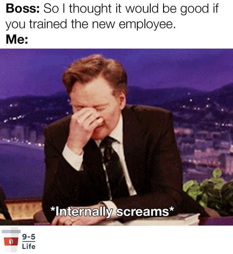 Training New Employees, Training Meme, Work Train, New Employee, Paramedic, Work Humor, Day Work, Work Life, I Laughed