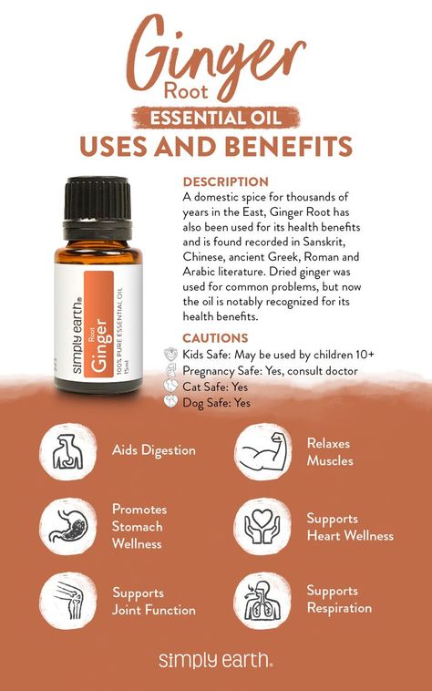 Like the plant, Ginger Essential Oil uses can help ease digestive issues and more. Once you take advantage of this oil, you’ll soon be creating even more memories in a more natural home. Ginger Essential Oil Benefits, Juniper Berry Essential Oil, Black Pepper Essential Oil, Essential Oils For Pregnancy, Simply Earth, Basil Essential Oil, Essential Oil Education, Essential Oil Carrier Oils, Ginger Benefits