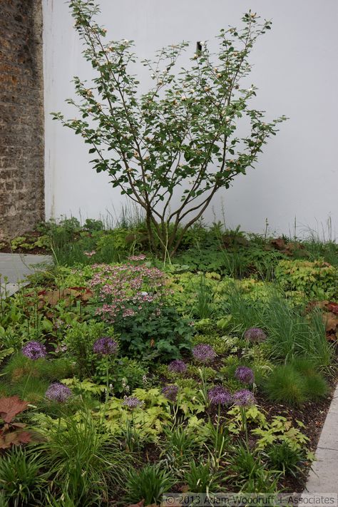 Piet Oudolf, Woodland Plants, Oak Grove, New Garden, Summer Plants, Paris Design, Chelsea Flower, Chelsea Flower Show, Perennial Garden