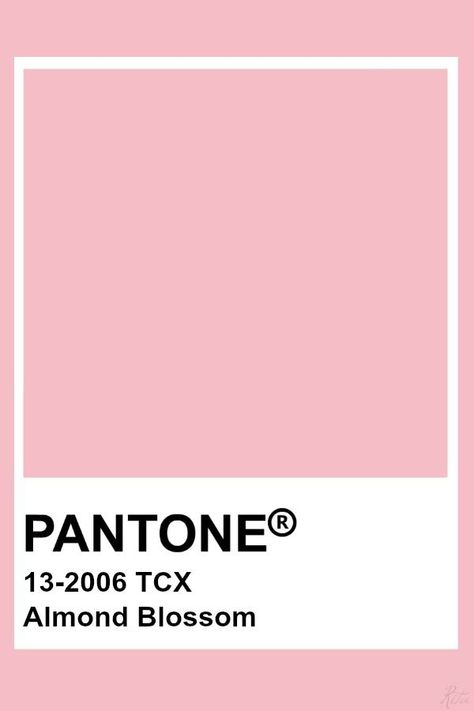 Almond Blossom Color Palette, Pantone Pastel Pink, Pink Pantone Palette, Pantone Pink Shades, Pantone Shades, Pink Pantone, Pink Colour Palette, Pantone Tcx, Pantone Color Chart